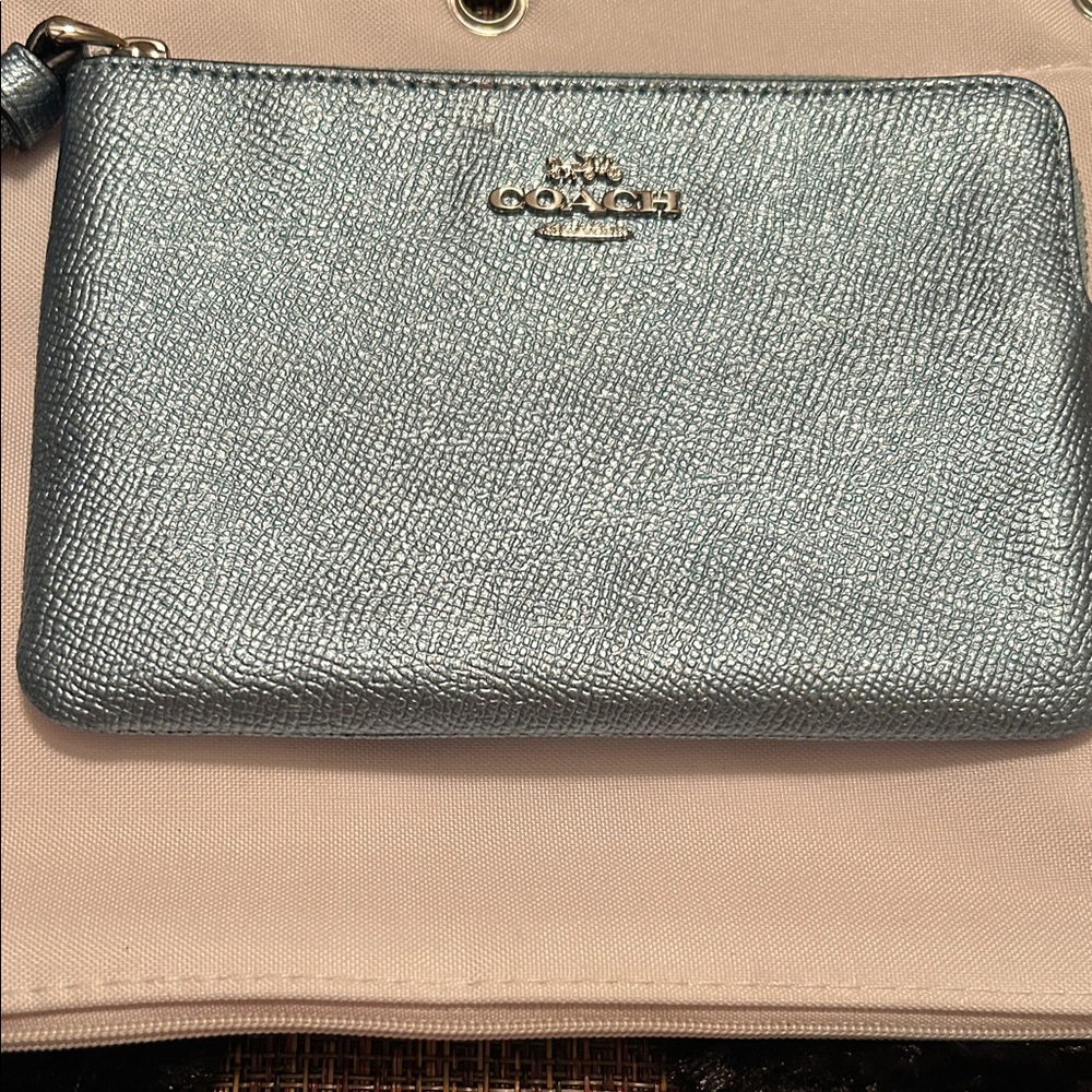 Coach Shimmering very light mint green in color